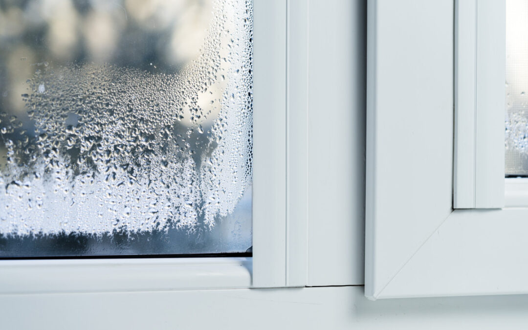 Why Is There Condensation on the Outside of My Windows?